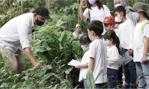 PT Mitra Natura Raya