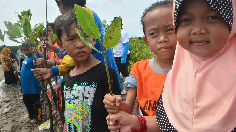 JMI Tanam Mangrove Cirebon 5.jpg