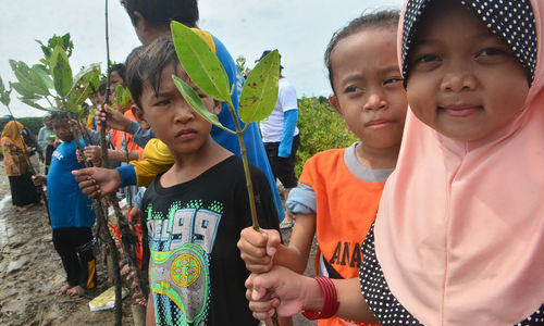JMI Tanam Mangrove Cirebon 5.jpg