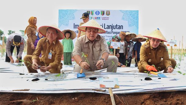 Realisasi Program GNPIP BI Lampung Berikan Prasarana dan Pengembangan Budidaya Cabai