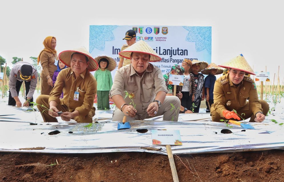 Implementasi Program GNPIP KPw BI Lampung memberikan dukungan program pengembangan ekonomi masyarakat berupa sarana prasarana untuk budidaya cabai kepada Gabungan Kelompok Tani (Gapoktan).