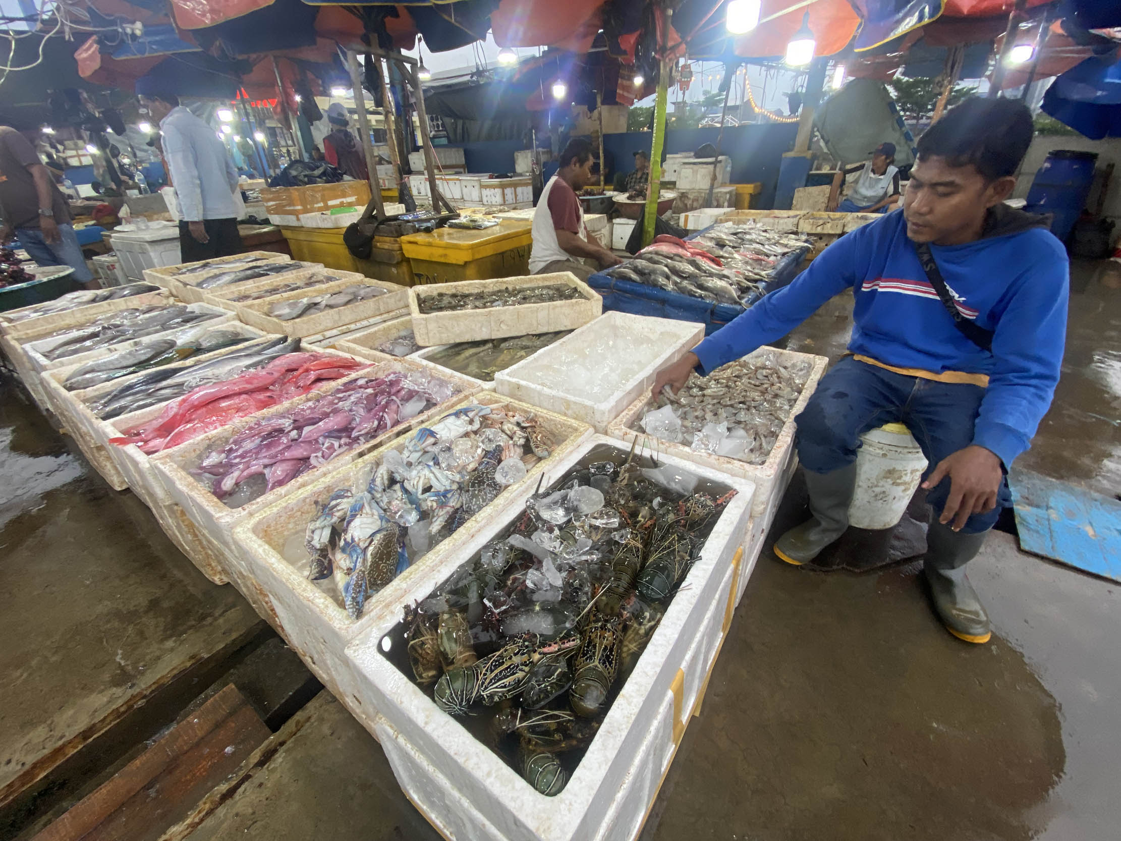 Nampak pembeli tengah memilih berbagai macam jenis ikan dan hewan laut lainnya seperti udang,cumi,kepiting dan lainnya di kawasan Muara Karang Jakarta Utara, Sabtu 19 November 2022. Foto : Panji Asmoro/TrenAsia