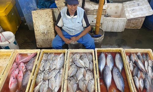 Pasar Ikan Muara Karang - Panji 4.jpg
