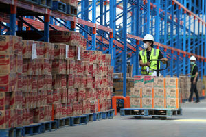 Media Visit Gotoko - Panji 5.jpg