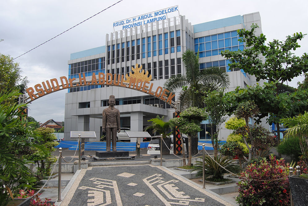 Rumah Sakit Umum Daerah Abdul Moeloek Lampung.