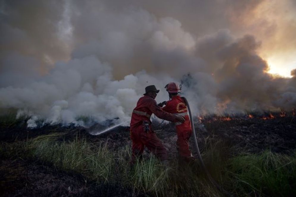 Personel Manggala Agni Daops Banyuasin XIV Banyuasin sedang memadamkan api kebakaran lahan gambut di Desa Arisanjaya, Kecamatan Pemulutan Barat, Kabupaten Ogan Ilir, Sumatera Selatan pada Selasa, 28 Juni 2022. 