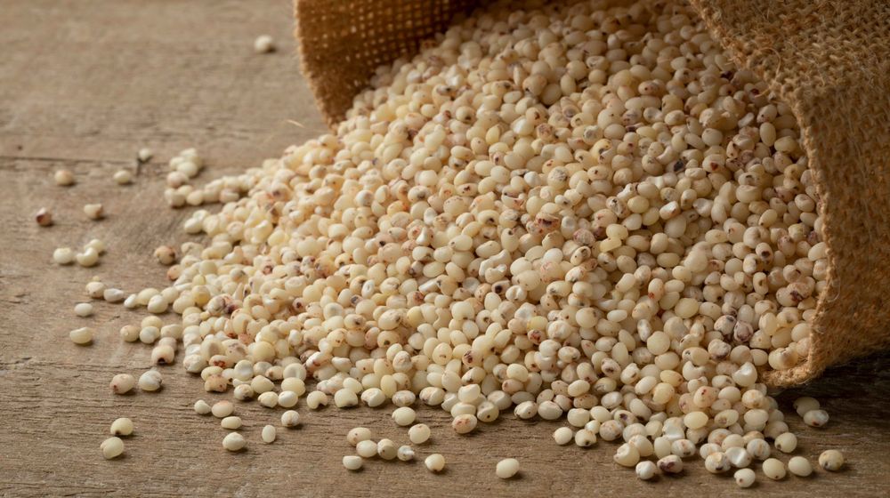 Jaga Warisan Sang Nenek, Petani Muda Ini Raih Berkahnya