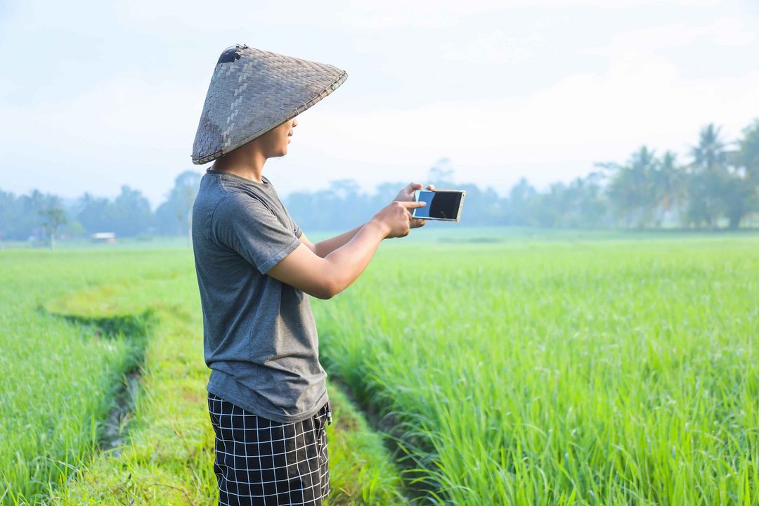 Penjualan Capai Rp.90 Juta, Petani Milenial Ini Gunakan Metode Bertani Kekinian