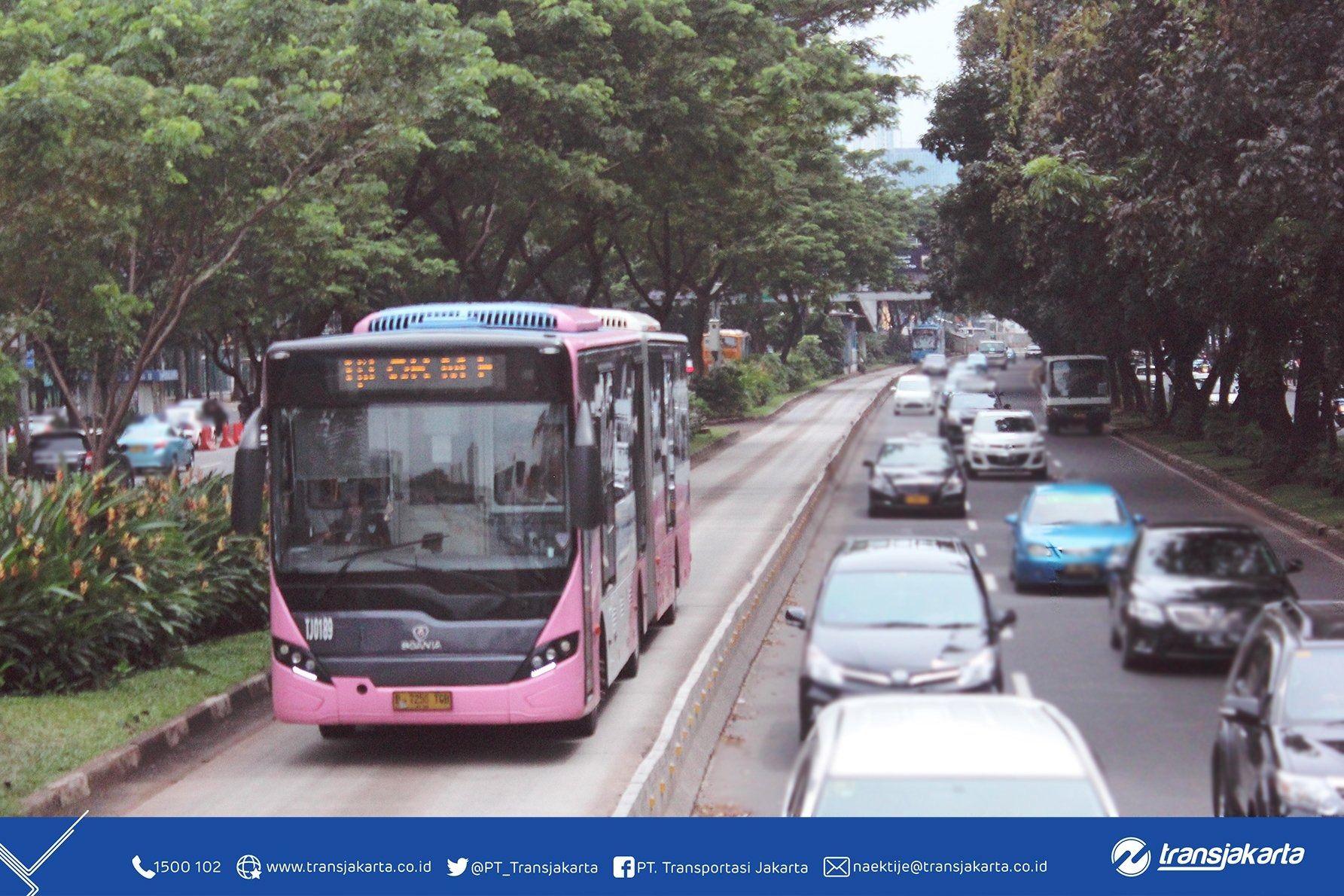Transjakarta Bus Pink