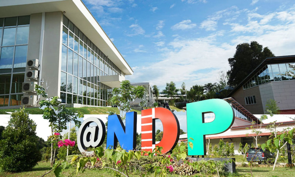 NDP.jpg
