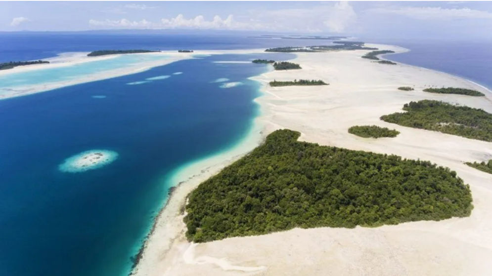 Pulau Widi Image by Sotheby’s.png