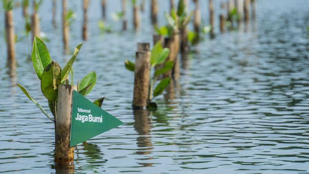 Telkomsel Gandeng Platform Jejakin Luncurkan Program Carbon Offset