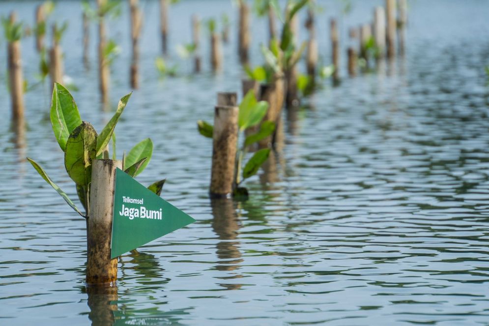 Program Carbon Offset merupakan wujud komitmen Telkomsel membuka lebih banyak peluang bagi seluruh pelanggan melalui environmental movement.