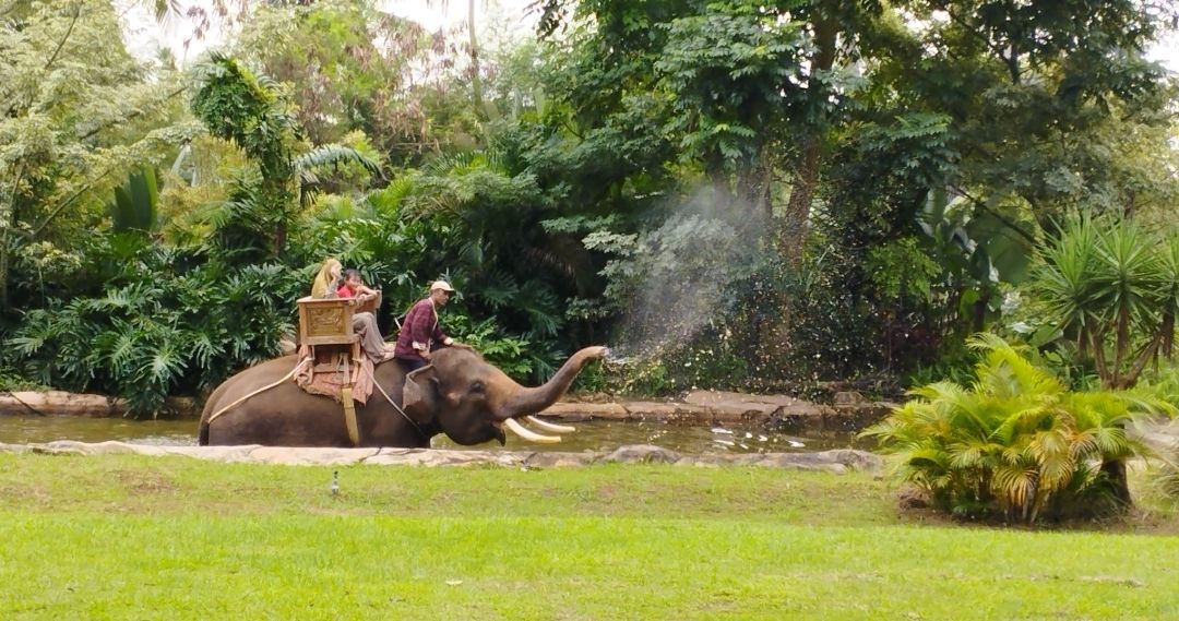 Libur Nataru, Pengelola Wisata Wajib Perkuat Keselamatan Dan Prokes ...