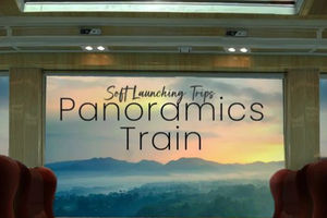 PANORAMIC TRAIN KAI.png