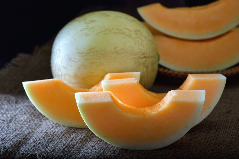 <p>budidaya melon minion</p>
