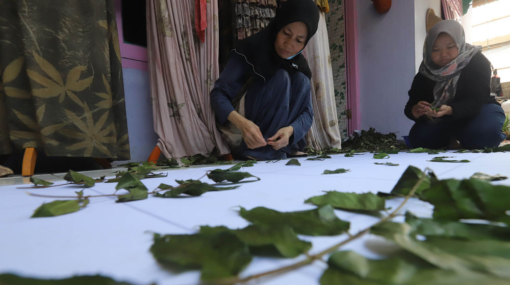 Aktifitas Pengrajin Ecoprint - Panji 1.jpg