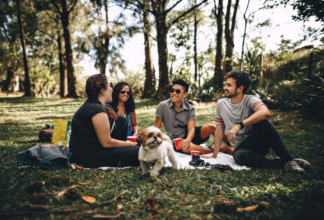 Group of People Sitting on White Mat on Grass Field by Helena Lopes
