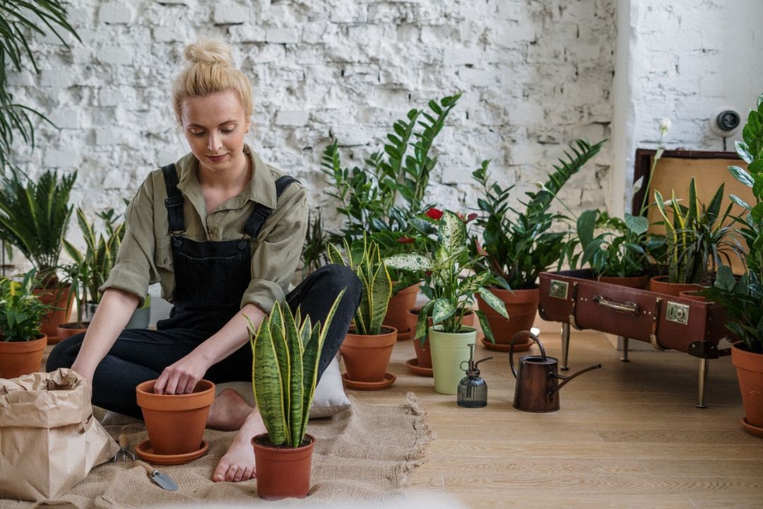 Photo by cottonbro studio: https://www.pexels.com/photo/woman-in-black-jacket-sitting-on-brown-wooden-seat-4505166/