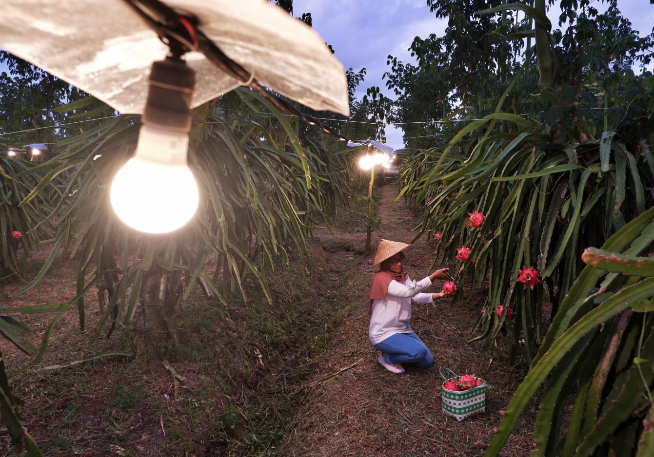 Tarif Listrik Dipertahankan, PLN Siap Dorong Ekonomi dengan Listrik Andal