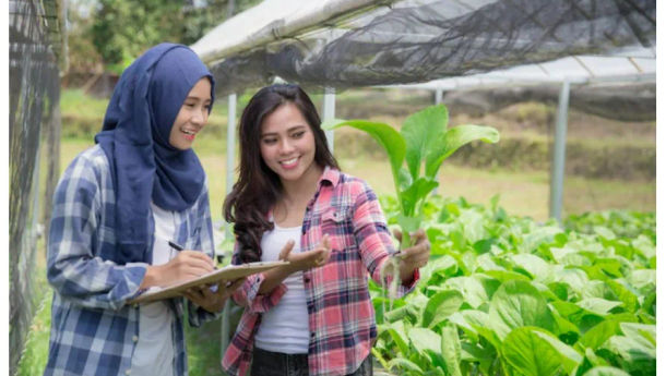 Pilihan Ide Bisnis yang Cocok Sambil Mengurus Rumah