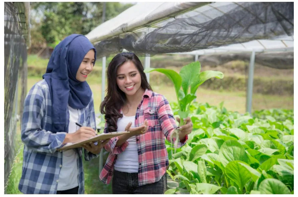 Berikut beberapa rekomendasi ide bisnis yang cocok bagi Anda yang harus mengurus keluarga di rumah.