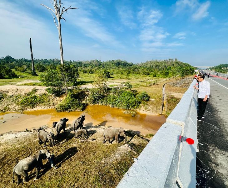 Terowongan Gajah.jpeg