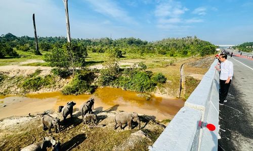 Terowongan Gajah.jpeg