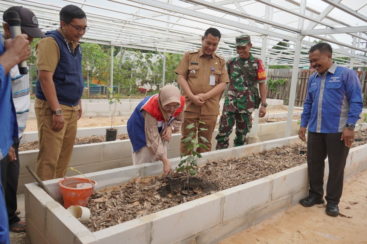 Manfaatkan Lahan Tidur, Pertamina & LKM Semarak Bina Mandiri Bangun Green House Anggur