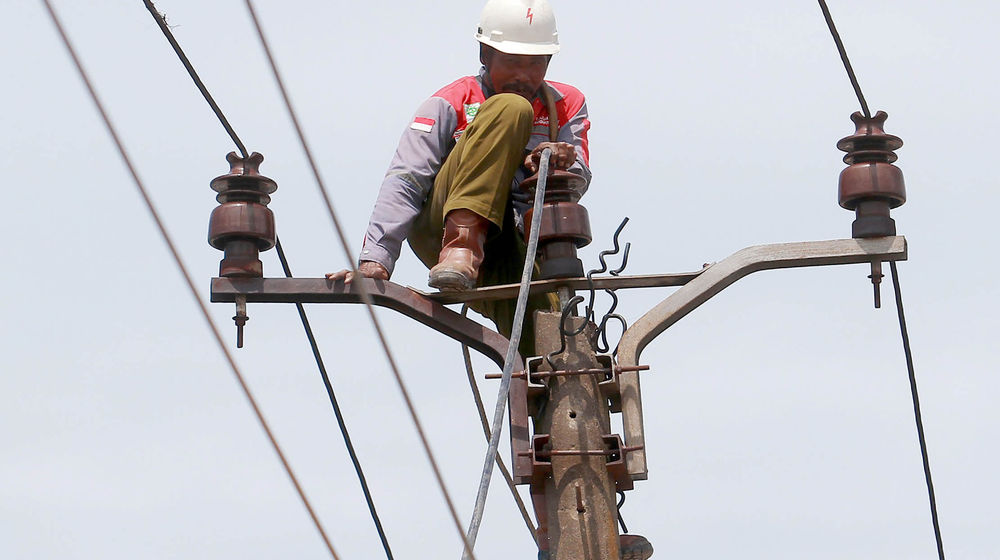 Perawatan Jaringan PLN - Panji 7.jpg