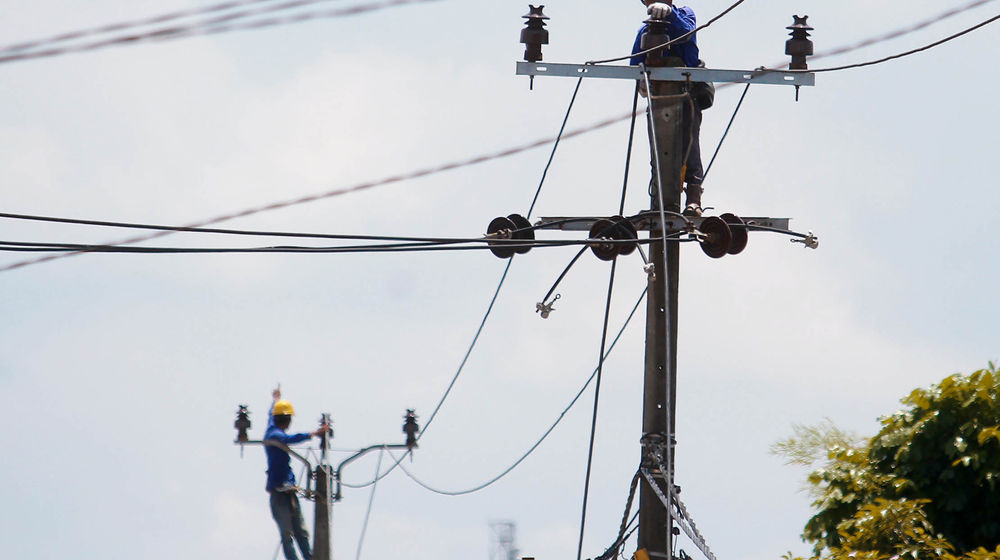 Perawatan Jaringan PLN - Panji 2.jpg