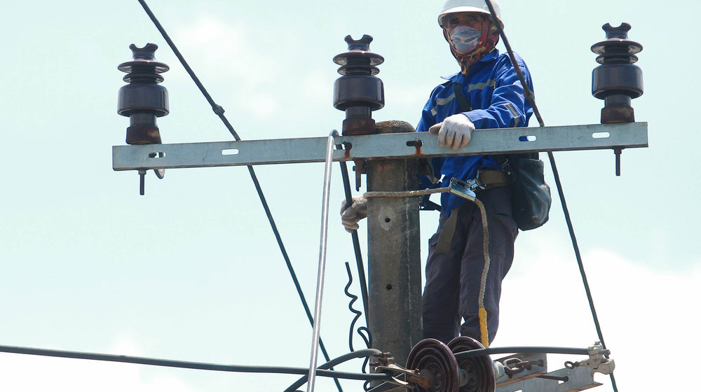 Perawatan Jaringan PLN - Panji 1.jpg