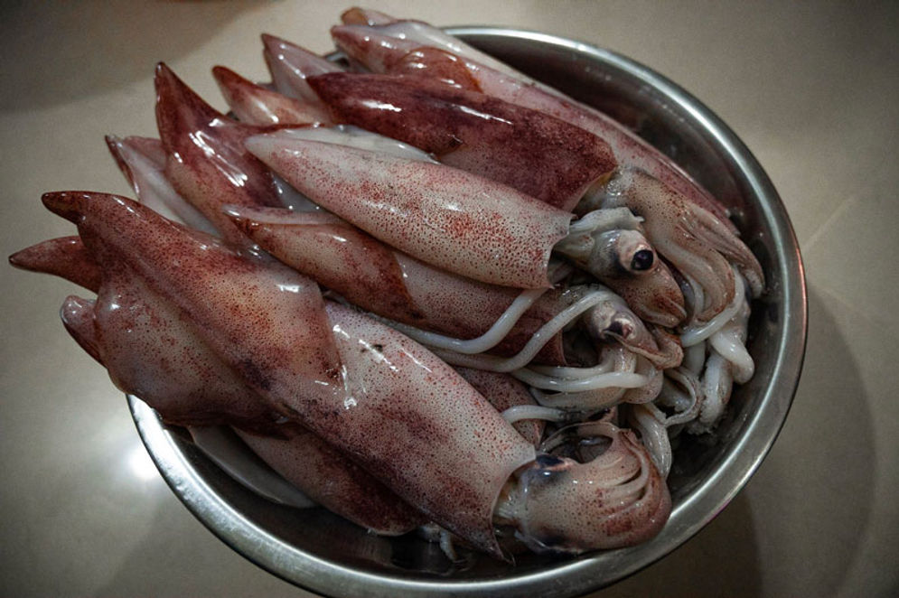 sotong.jpg