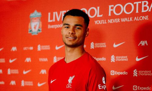 cody gakpo liverpool.jpg