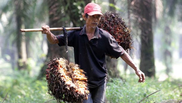 Bappebti Targetkan Sawit, Kopi, dan Karet Masuk Bursa Berjangka Komoditi