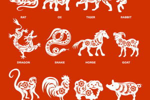 chinese-zodiac-signs-with-designation-vector-33418912.jpg