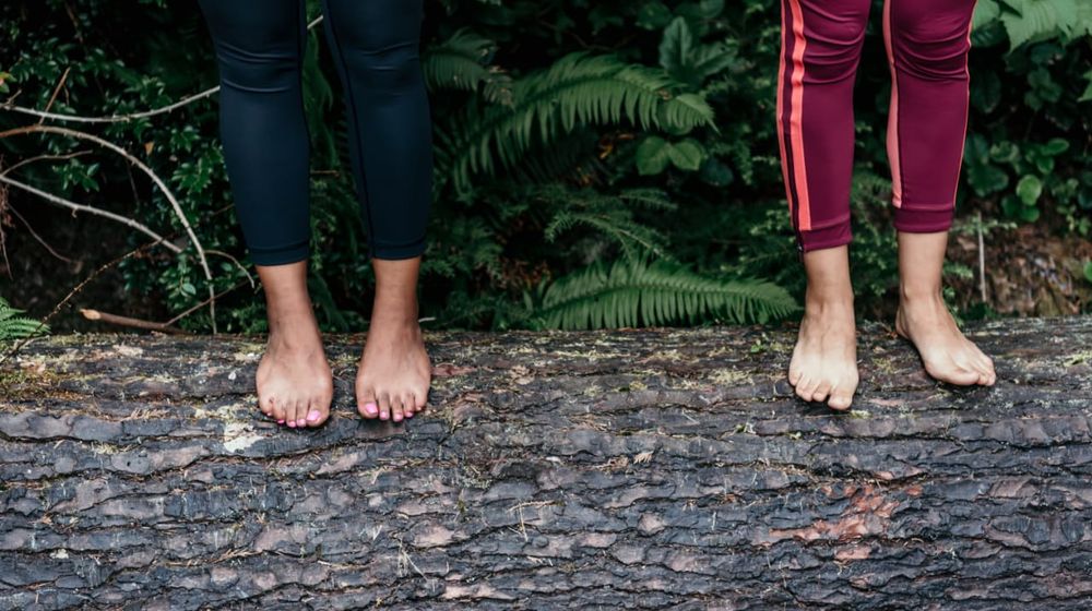 Photo by PNW Production: https://www.pexels.com/photo/two-people-standing-on-tree-log-8981010/
