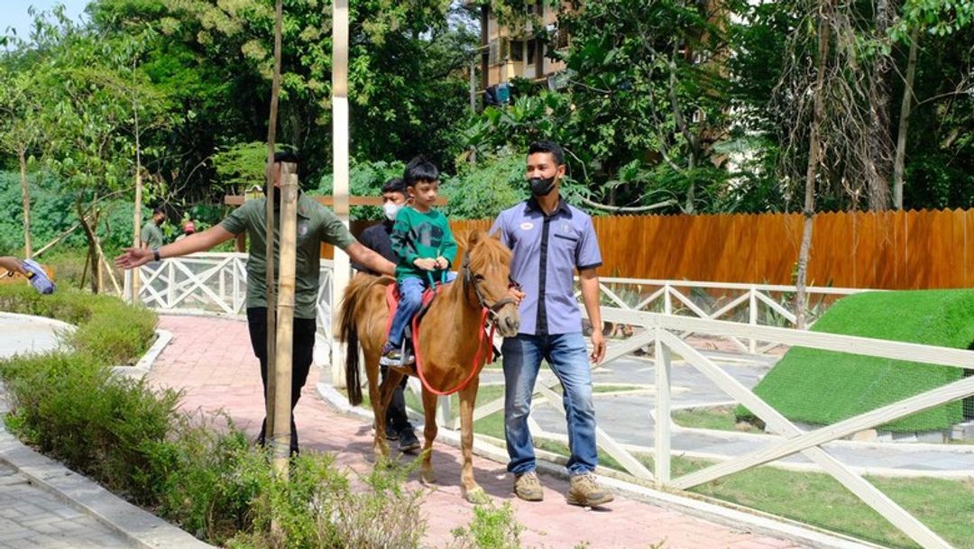 Cucu Presiden Joko Widodo, Jan Ethes Srinarendra, menaiki kuda poni di Solo Safari, Senin 23 Januari 2023. 