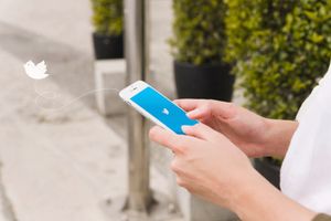 Cara Download Video Viral dari Twitter Hingga Instagram, Gratis Tanpa Daftar!