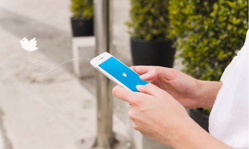 Cara Download Video Viral dari Twitter Hingga Instagram, Gratis Tanpa Daftar!