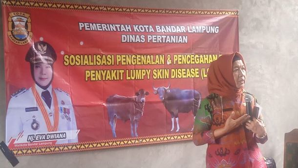 Dinas Pertanian Bandar Lampung Sosialisasi Penyakit Cacar Hewan Ternak