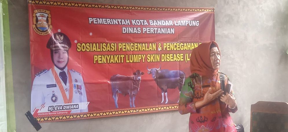 Dinas Pertanian Bandar Lampung menggelar sosialisasi penyakit Lumpy Skin Disease (LSD) atau penyakit cacar pada hewan ternak sapi kepada para kelompok ternak Rajabasa Raya.