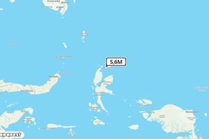 info-bmkg gempa guncang daruba di laut 13 km barat daya 5.6 magnitudo