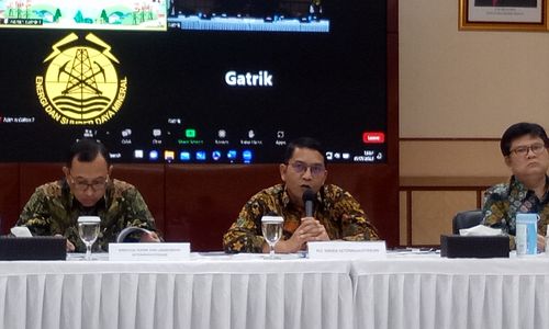 Plt Direktur Ketenagalistrikan Dadan Kusdiana..jpeg