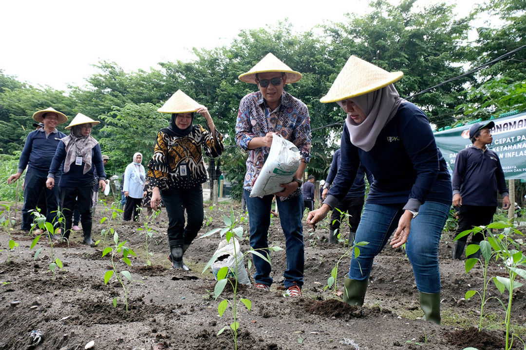 Jajaran Pemkot Surabaya menanam bibit cabai di di lahan Sub Terminal Agrobisnis (STA) Karah,  Surabaya, belum lama ini.