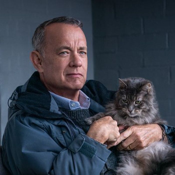 A Man Called Otto dibintangi aktor kawakan, Tom Hanks. 