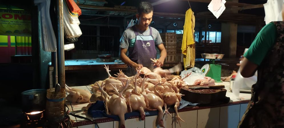 Harga Ayam Potong di Palembang Stabil, Rp 26 Ribu/kg