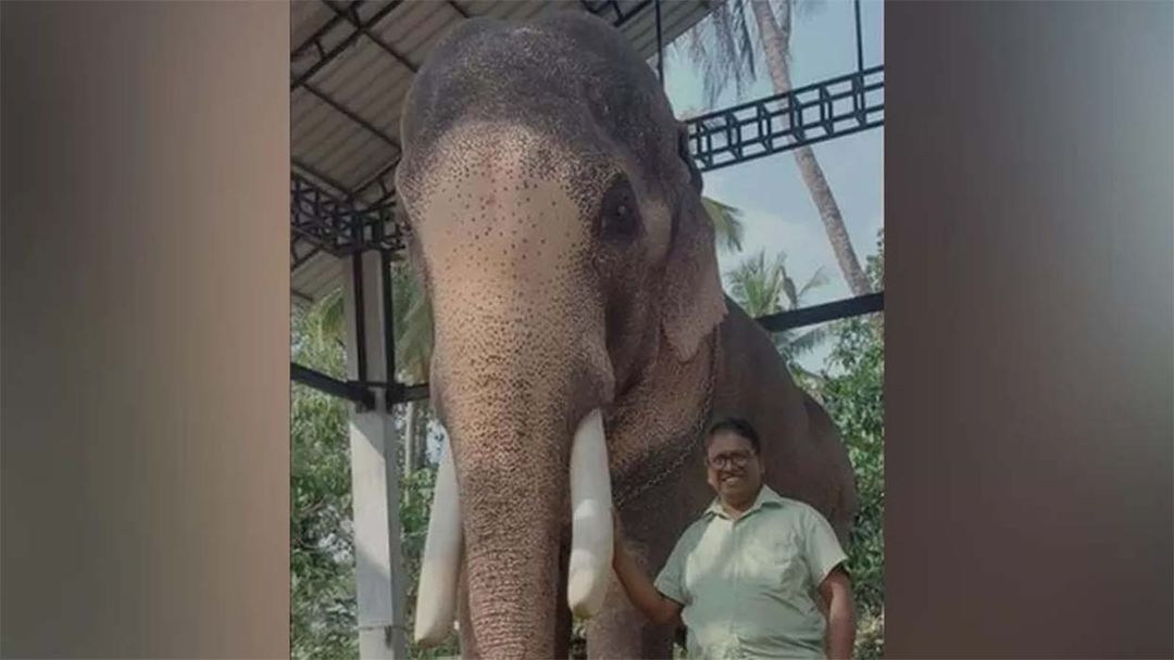gajah kerala.jpg