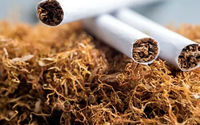Rokok