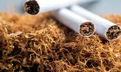 Rokok